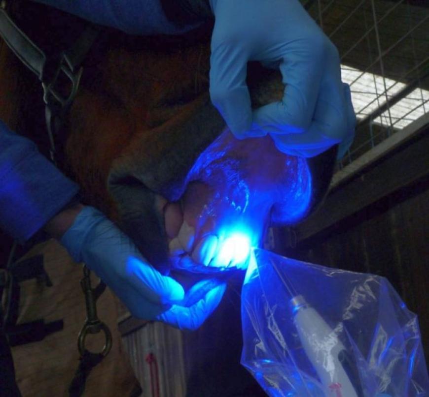 Complex Procedures Complex Procedures