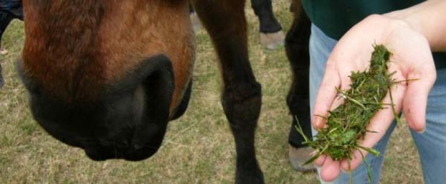 Connect with Us Connect with Us