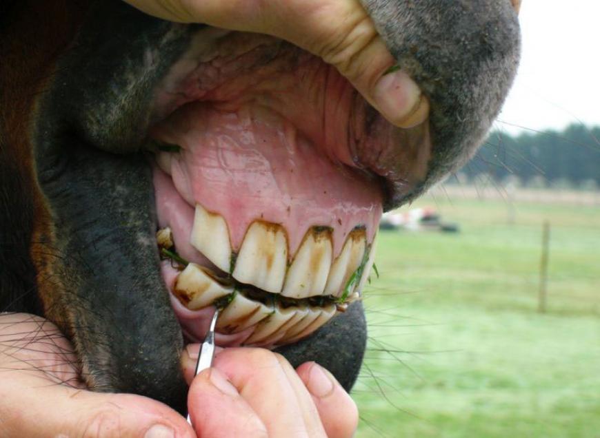 Routine Treatment Routine Treatment